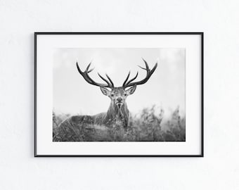 Majestic Stag Print. Deer Print, Poster, Animal wall art, Nature poster, Antlers, Stag, Deer, Wildlife, Landscape