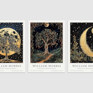 May include: Three gold-toned prints with a dark blue background and gold stars. Each print features a different image: a tree with a full moon behind it, a tree with a crescent moon above it, and a feather with a crescent moon above it. The text "WILLIAM MORRIS" is at the bottom of each print.