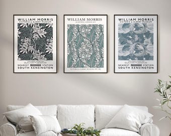 Set di 3 stampe botaniche di William Morris / Decorazioni murali Art Nouveau / Arte murale floreale vintage / Set di poster Morris per la casa e idee regalo