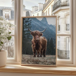 Highland Cow Print, Farmhouse Decor, Animal Photography, Cow wall Art, Shaggy Cow Poster, Highland Cow Poster, Animal Wall Art,Cow Art Print