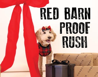 Proof Upgrade - Rush Proofing Service