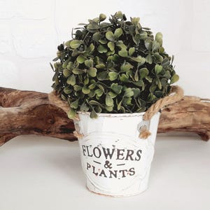Op de afbeelding: Een kleine, witte metalen emmer met de woorden "FLOWERS & PLANTS" op de voorkant. De emmer heeft touwhandvatten en is gevuld met een groene, bladrijke plant. De emmer heeft een verweerde, vintage uitstraling.