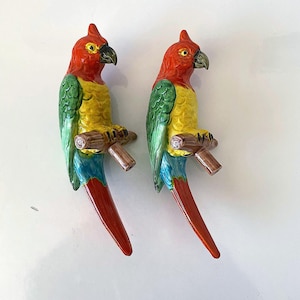 MACETAS PARA SUCULENTAS PARROT Cerámica Vintage de mediados de siglo