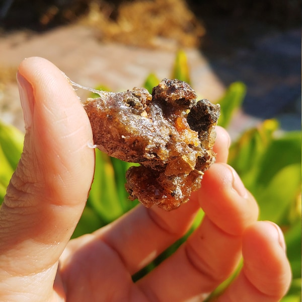 Black COPAL Resin Raw Protection Fairtrade Organic From Guadalajara Mexico OneofAKind Mexico Medicina, ritual, prayer, spiritual, native