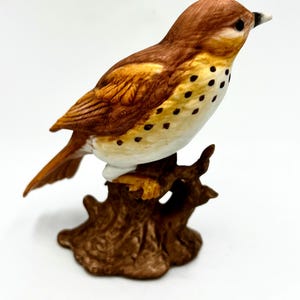 木製 手彫り 鳥 クマゲラ 全長40.5cm 野鳥 木工品　彫刻 木彫り 置物 Amazon.co.jp: HIGHAWK鳥 バード 木製 木彫り 飾り 玄関 置物