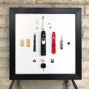 Dissected electric toothbrush