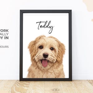 Custom Pet Portraits Using Pet Photo Personalized Digital Dog Portraits Cat Portraits Custom Dog Portrait Custom Pet Art Pet Cartoon Drawing