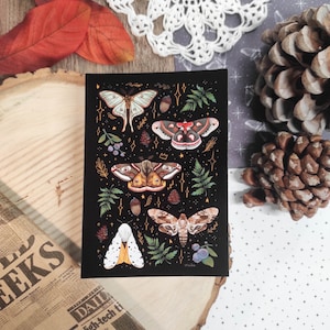 Print A6 Magical Forest - carte, forestcore, décoration, aesthetic, vintage, witch, wicca, fall, autumn, wicca, halloween, forest, moths
