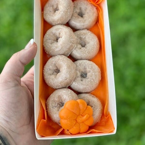 Pompoensuiker Donuts, Wax Melts, Realistische Melts, Soja Wax, Donut Wax Melts, Fall wax melts, Unieke wax melts, Pumpkin Wax Melts