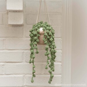 May include: A crocheted hanging plant with green leaves and a beige pot. The plant is hanging from a white brick wall.