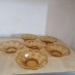 Set of 6 Vintage Amber Glass Dessert Bowls – Petal Panel Design – 6&quot;