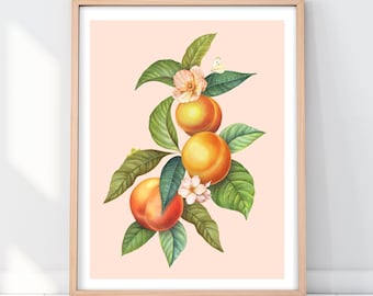 Peach Print / A4 + A3 Giclee Art Prints / Botanical Nature Peaches Painting / Home Decor / Interior Decor / Wall Art / Libbi King