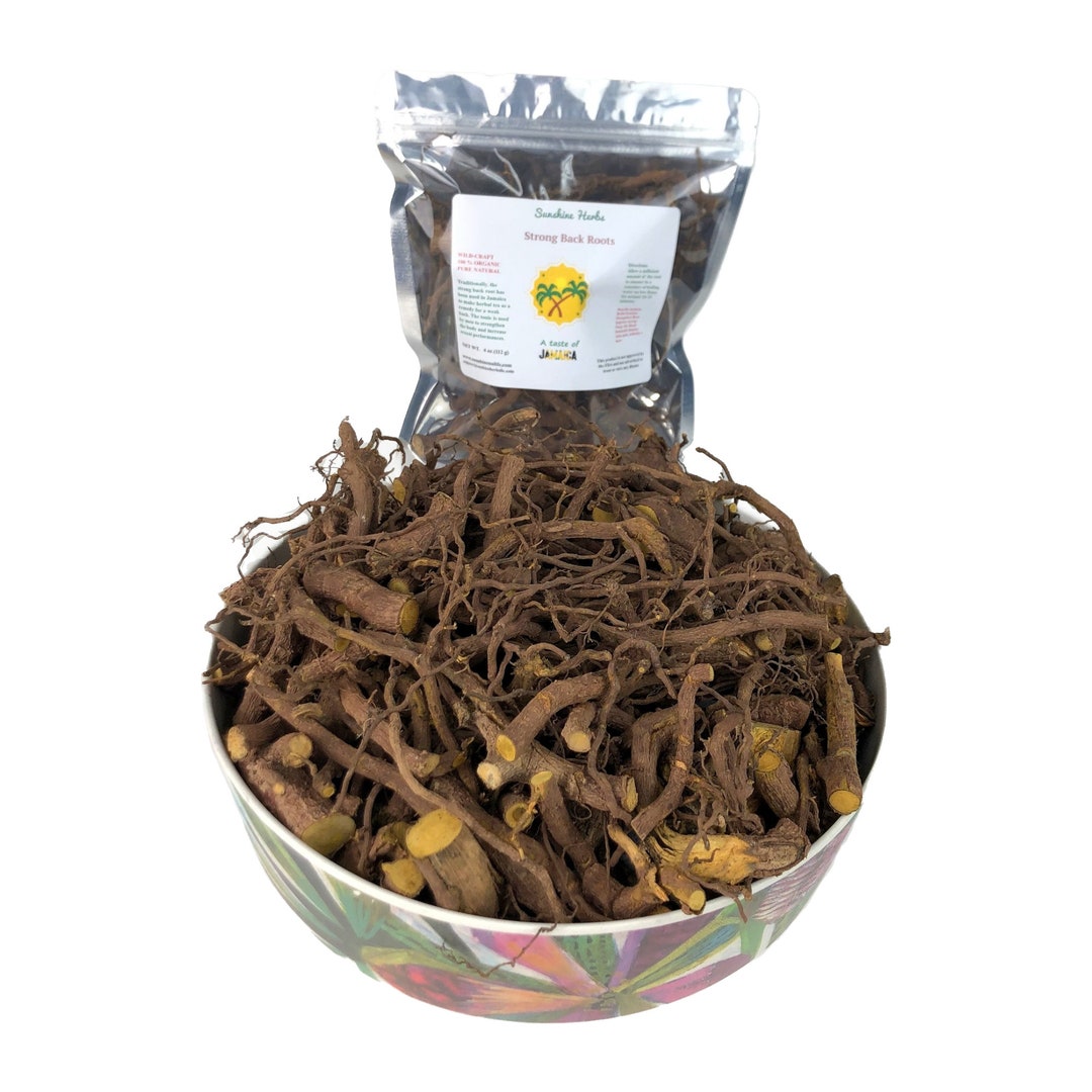 Strong Back Root Wild craft Harvest Jamaican Herb Pure Natural Roots 