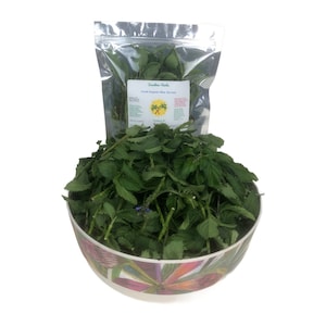 Fresh Blue vervain | Verbena Hastata | Organic vervain | Pure Natural |  Pick to order