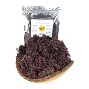 Organic Purple Sea Moss | Fresh harvest | Jamaican Wildcraft | Chondrus Crispus | Sundried | Hand Picked | Natural Minerals