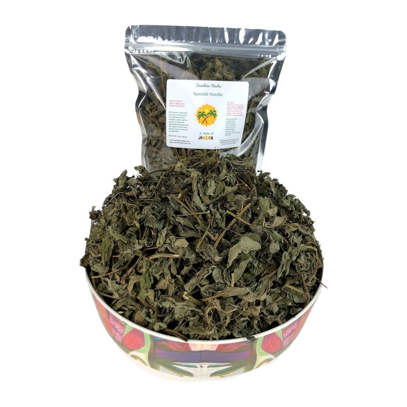 Spanish Needle Needle Grass Wildcraft Harvest Jamaican Etsy