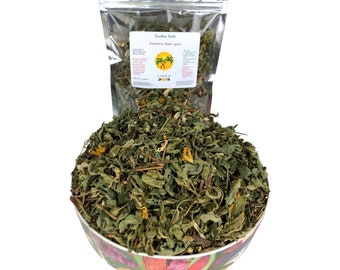 Damiana | Ram-goat Dash-along | Turnera ulmifolia L | Jamaican herb | Wild-craft harvest | Tonic expectorant | Herbal tea