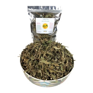 Jamaican Jack In The Bush | Eupatorium Odoratum | Herbal tea l Fresh harvest | Wild-craft herb | Organic whole leaves
