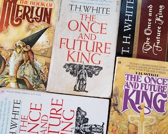 The Once And Future King, The Book Of Merlyn by T.H. White Classic Fantasy King Arthur Tale Sword In The Stone Pick Your Book