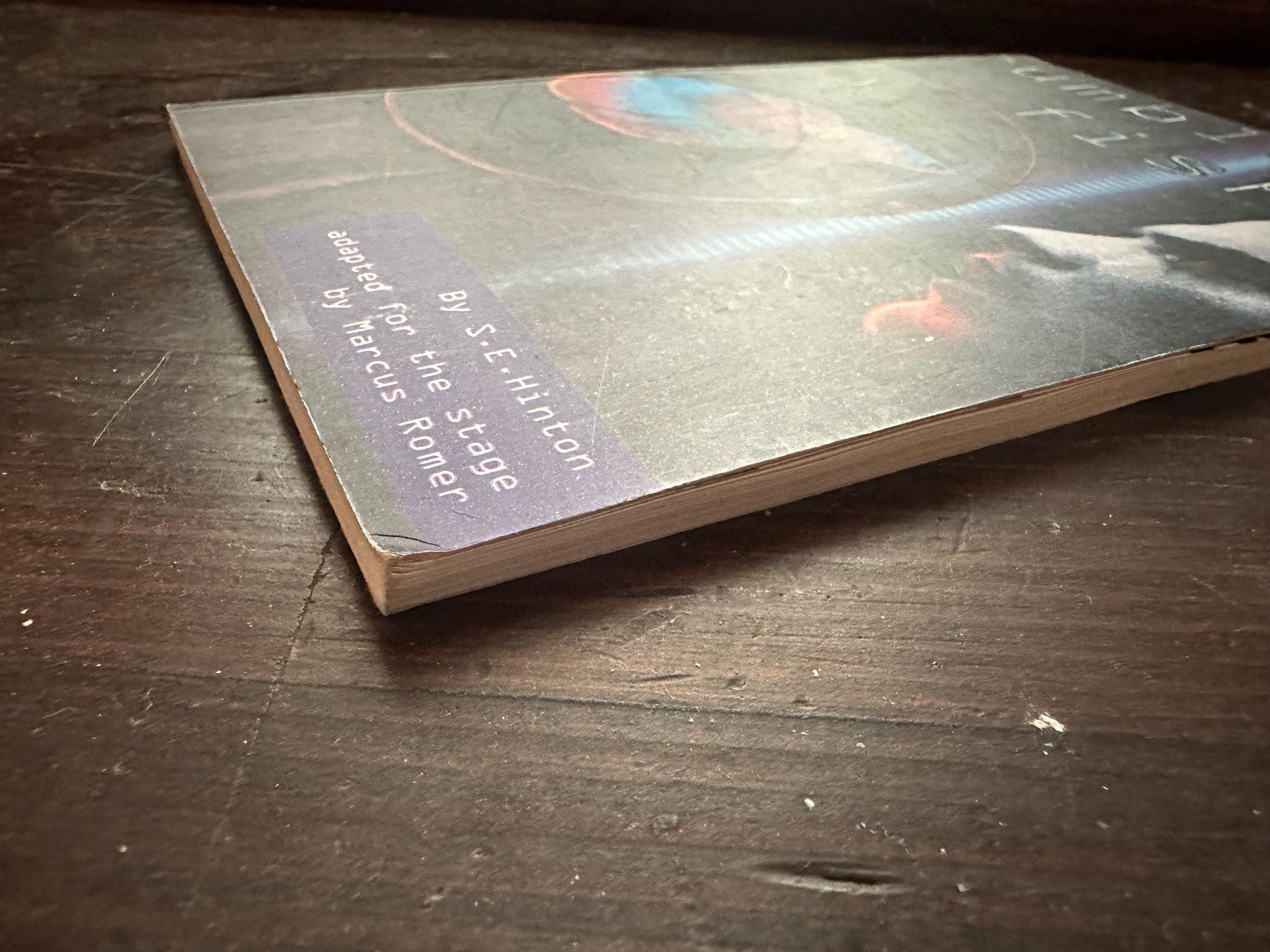 Rumble Fish by SE Hinton the Stage Play Script Adapted by Marcus Romer ...
