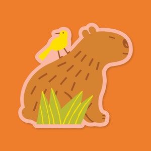 Bird Capybara Vinyl Sticker