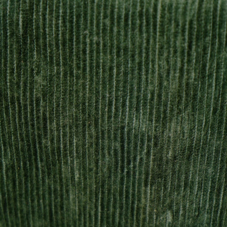 May include: Close-up of a textured, dark green corduroy fabric. The fabric has vertical ridges, creating a ribbed pattern. The color is a deep, muted green, with subtle variations in tone across the surface.