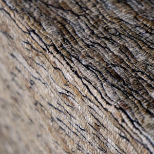 Könnte beinhalten: Nahaufnahme der verwitterten Holzmaserung. Das Bild zeigt eine diagonale Ansicht der Holzoberfläche mit einem Muster aus parallelen Linien und dunklen Rissen. Das Holz hat eine hellbraune Farbe mit dunkleren braunen und schwarzen Akzenten.
