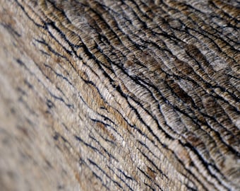 Handwoven Wild Silk Fabric by the Yard | Forest-Foraged Cocoons | 44” Wide | 480 GSM