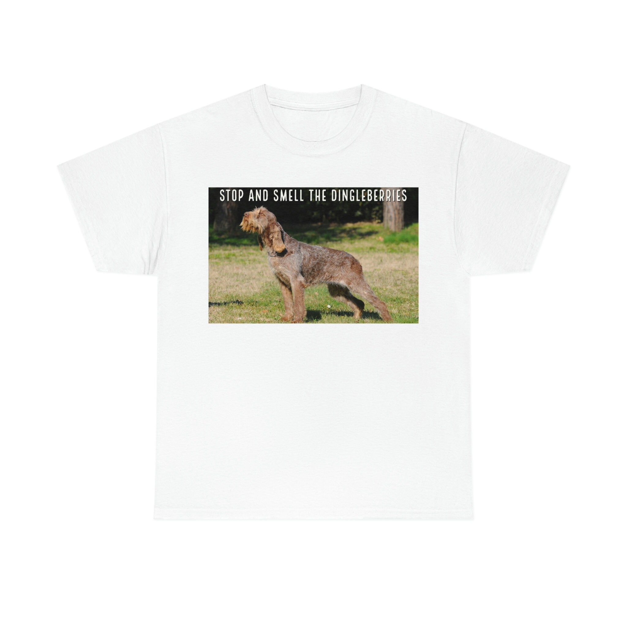 What Are You Looking At Dingleberry? Dog T-Shirt