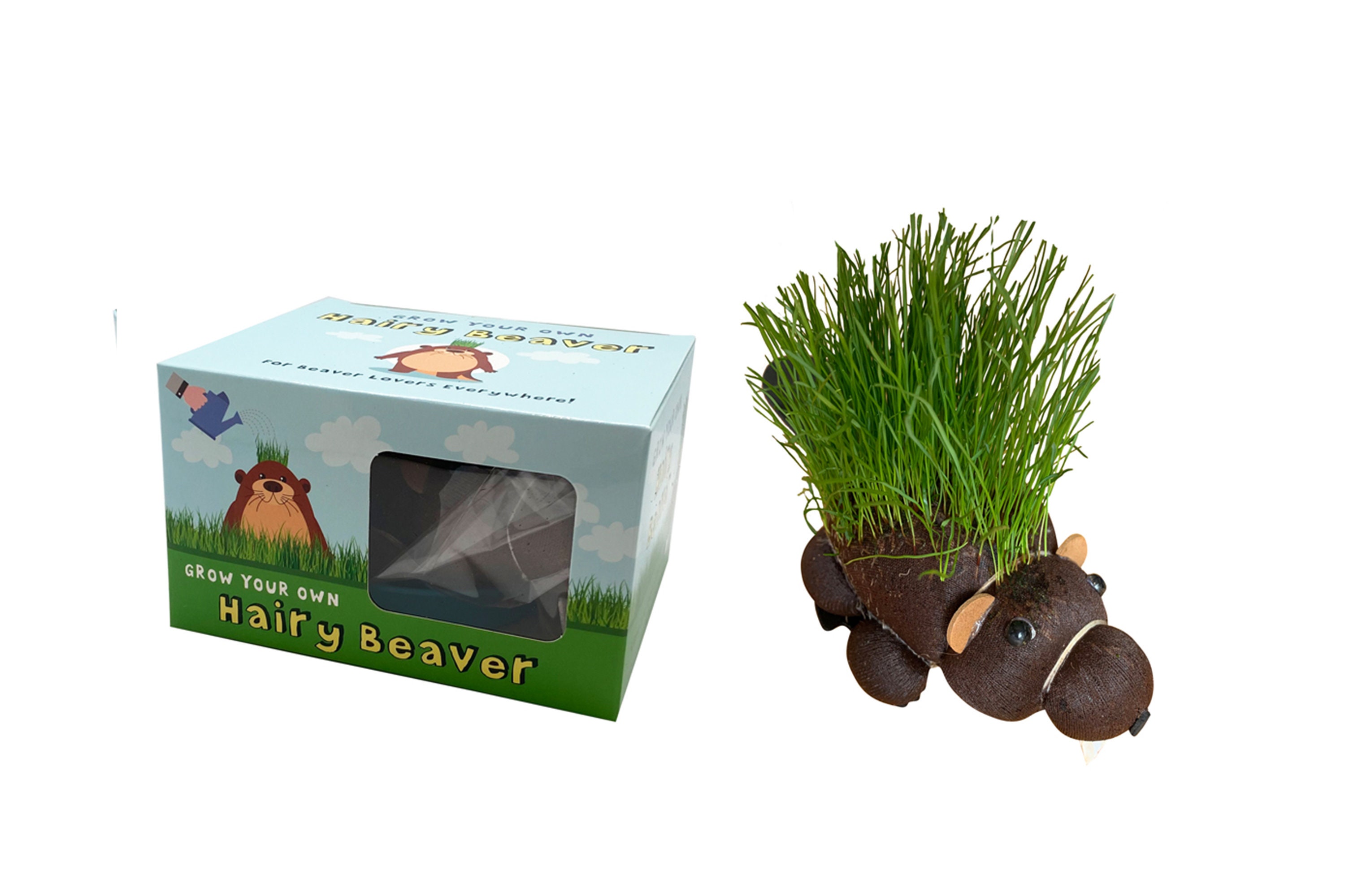 Grow your own hairy beaver
