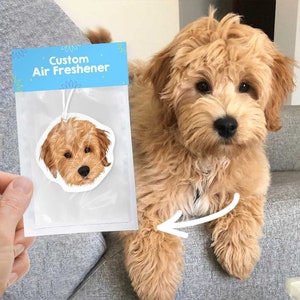 Custom Air Fresheners | Hand Drawn, Car Air Fresheners, Personalized airfreshener, air freshener gift, picture air freshener - photo draw