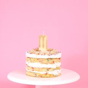 Scorpio Cake Topper