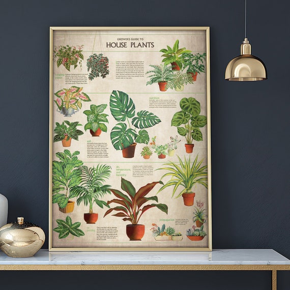 Houseplant Knowledge Poster Poster for Plant Lovers - Etsy