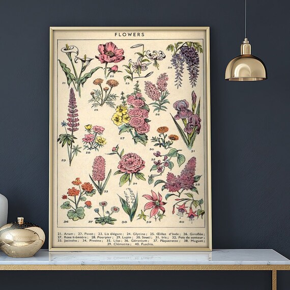 Vintage Flower Poster Poster for Flower Lovers Romantic Etsy