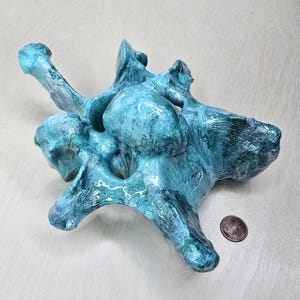 Cow Vertebrae, Painted (Teal)