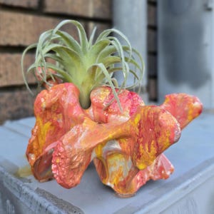 Cow Vertebrae, Painted (Orange Creamsicle)