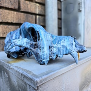 Coyote Skull, Painted (Light Blue)