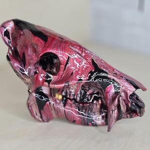 Javelina Skull, Painted