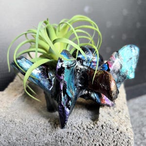 Cow Vertebrae, Painted (Multi/Rainbow)