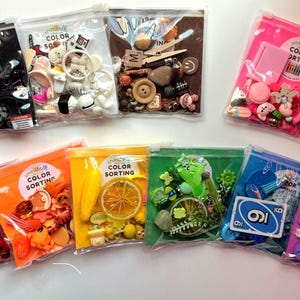 Peut inclure: Dix sachets en plastique transparent à fermeture éclair contenant de petits objets assortis organisés par couleur, incluant des ensembles noir, blanc, marron, rose, rouge, orange, jaune, vert, bleu et violet. Chaque sachet porte une étiquette COLOR SORTING.