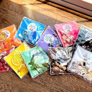 May include: A collection of clear plastic bags filled with colorful craft supplies, each labeled with "Color Sorting." The bags contain items in various colors, including orange, blue, purple, pink, black, yellow, green, and brown, such as charms and beads.