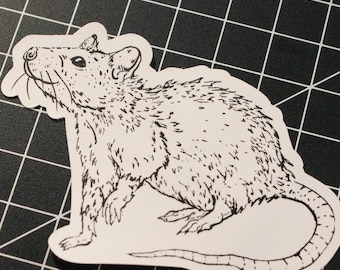 Cute Smiling Rat Stickers 5 cm | 3x Stickers