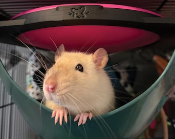 Ice Pod Cooling Holder for the Savic Sputnik | Keeps Rats Cool on Hot Days