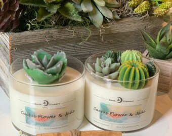 Cactus Flower and Jade 15 oz with Toppers