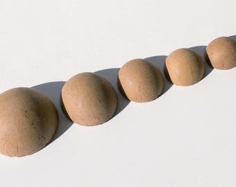May include: A series of six small, rounded, light brown objects arranged diagonally on a white surface. The objects appear to be smooth and have a uniform color, with subtle variations in shape and size.