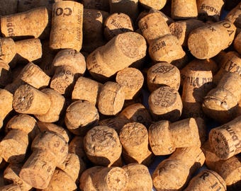 25x Natural Mushroom Corks, Mushroom Shape