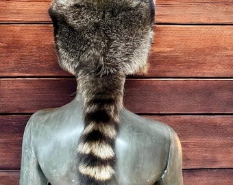 Modello di cucito per berretto in pelle di procione: cappello da cacciatore di pelliccia, per adulti e bambini (download PDF)