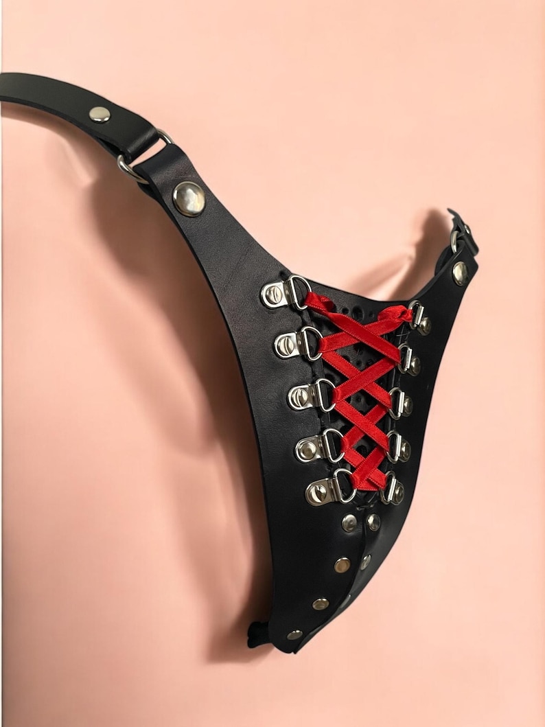 May include: Black leather harness with red ribbon lacing and silver metal accents.