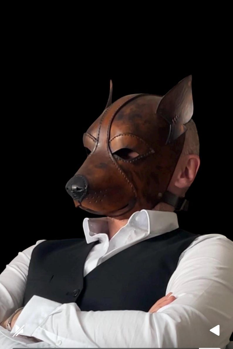May include: A brown leather dog mask with pointed ears and a black nose. The mask covers the upper face and is secured with a strap. The person is wearing a white dress shirt and a black waistcoat.