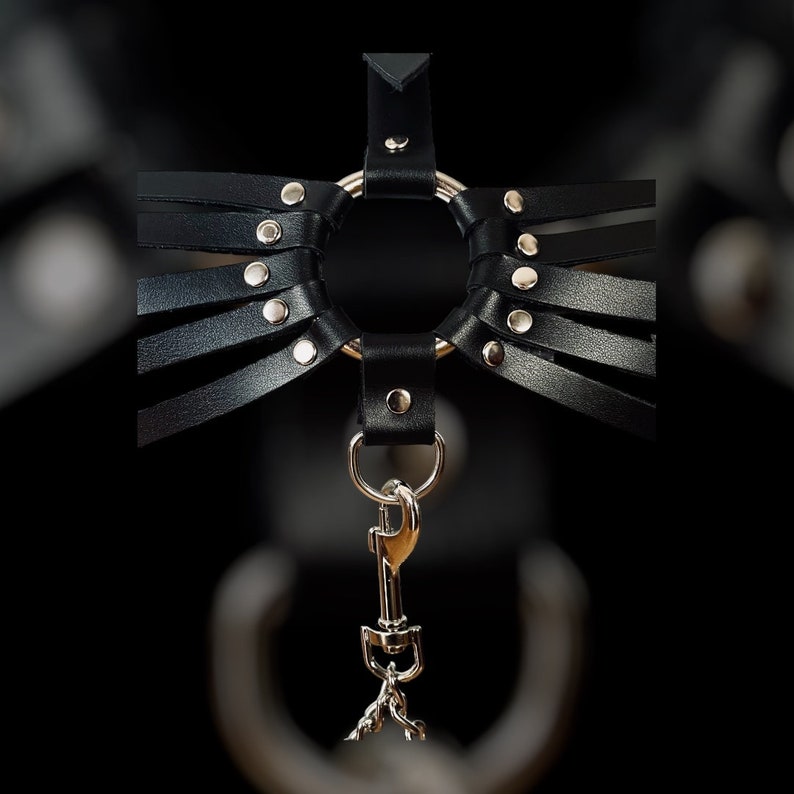 May include: Black leather choker with silver studs and a silver ring. The choker has a silver clip and a silver chain attached.